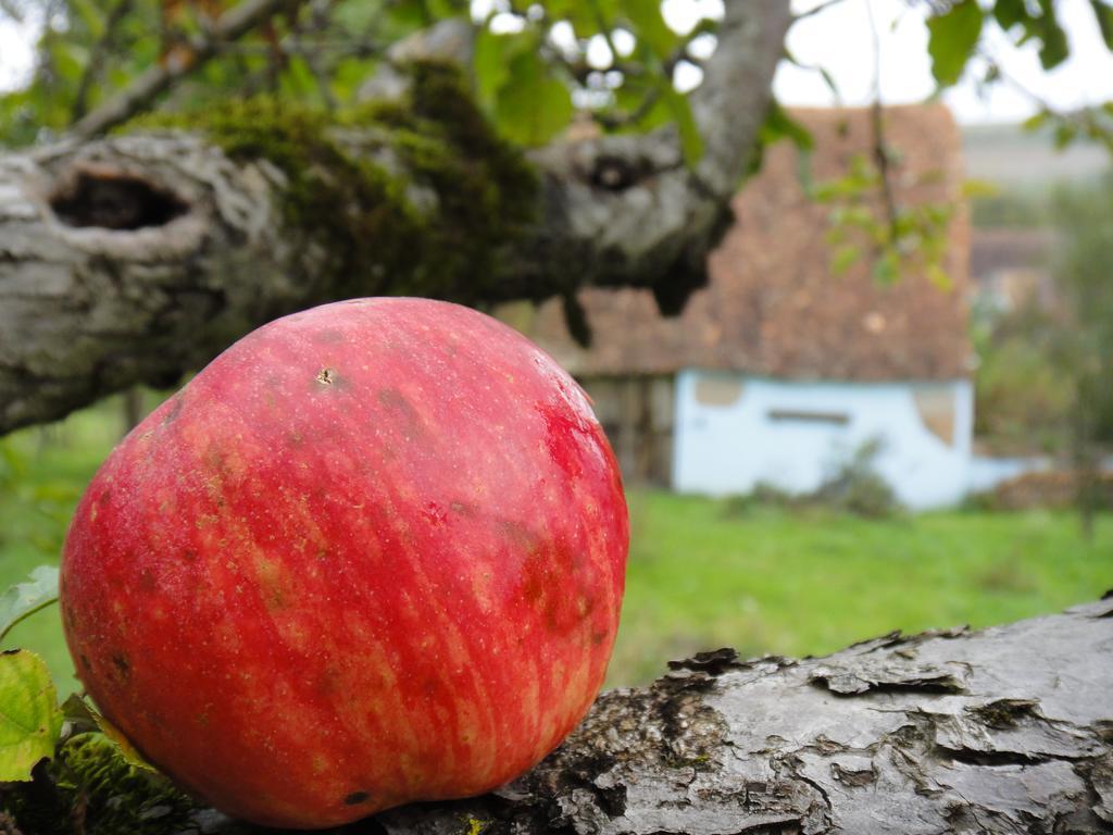 Dominic Boutique, Little Barn , Cloasterf ξενώνας Εξωτερικό φωτογραφία